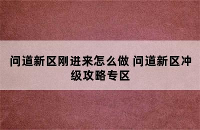 问道新区刚进来怎么做 问道新区冲级攻略专区